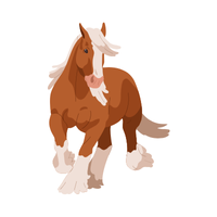 Suffolk | Horses with Names and Types