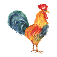 Sultan | Chickens with Names and Types