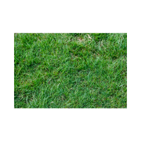 Sward | Swards with Types and Names