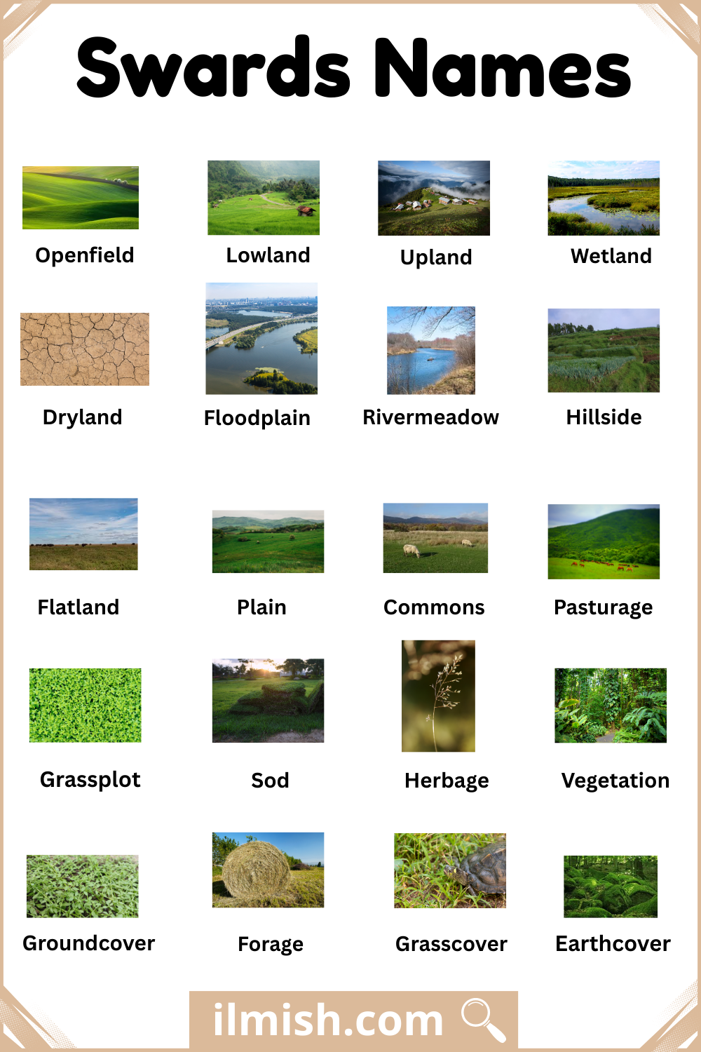 Swards Names in English with Images