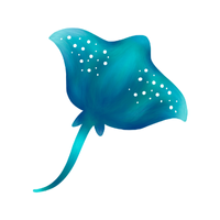 Swim | Fish with Names and Types