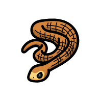 Taipan | Snakes with Names and Types