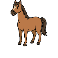 Tersk | Horses with Names and Types