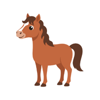 Timor | Horses with Names and Types