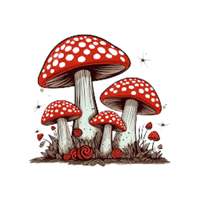 Toxic | Mushrooms with Names and Types