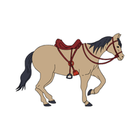 Trake | Horses with Names and Types