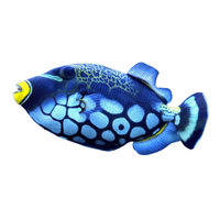 Trigger | Fish with Names and Types