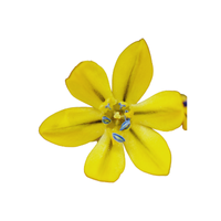 Triteleia | Desert Flowers with Names and Types