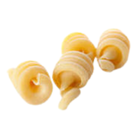 Trottole | Pasta with Names and Types