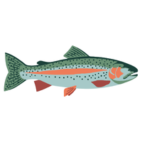 Trout | Fish with Names and Types