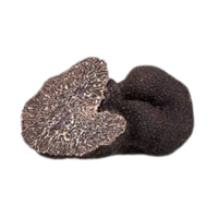 Truffle | Mushrooms with Names and Types