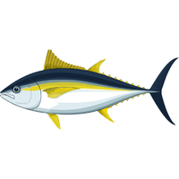 Tuna | Fish with Names and Types