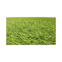 Turf | Swards with Types and Names