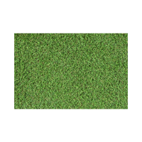 Turfgrass | Swards with Types and Names