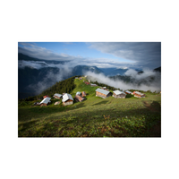 Upland | Swards with Types and Names