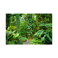 Vegetation | Swards with Types and Names