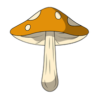 Volva | Mushrooms with Names and Types