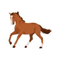 Walker | Horses with Names and Types