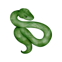 Whip | Snakes with Names and Types