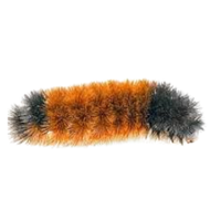 Woolly bear