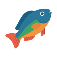 Wrasse | Fish with Names and Types