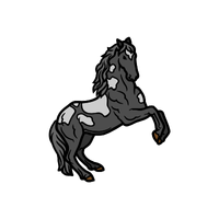 Yakut | Horses with Names and Types