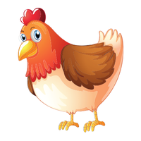 Yokohama | Chickens with Names and Types