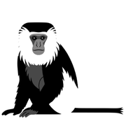 colobus | Monkeys with Names