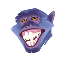 night | Monkeys with Names