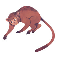 proboscis | Monkeys with Names