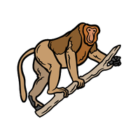 pygmy | Monkeys with Names