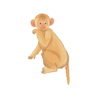 tonkean | Monkeys with Names