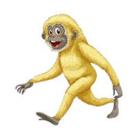 yellow | Monkeys with Names