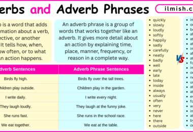 Adverbs and Adverb Phrases with Examples in English