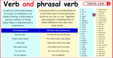 Difference Between Verbs and Phrasal Verbs in English