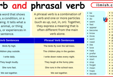Difference Between Verbs and Phrasal Verbs in English