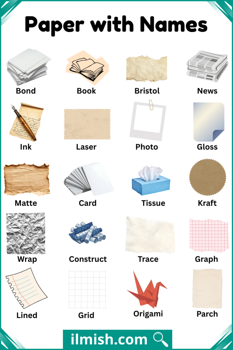 List of Paper with Names and Types in English with Pictures - ilmish