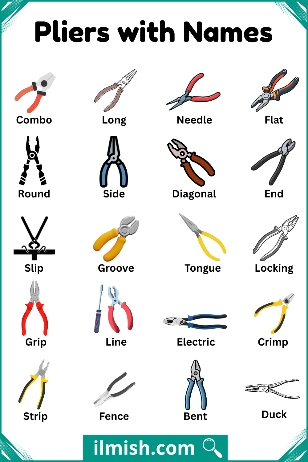 Different Type of Pliers with Name and Picture