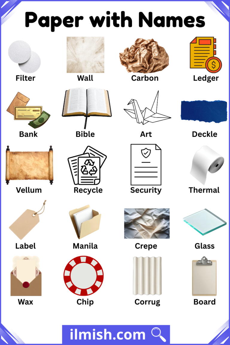 List of Paper with Names and Types in English with Pictures - ilmish