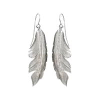 Feather | Earrings with Names and Types