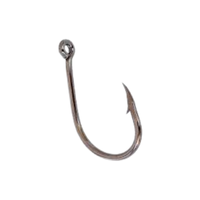 Fishhook | Earrings with Names and Types