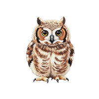 Great Horned | Owls with Names and Types