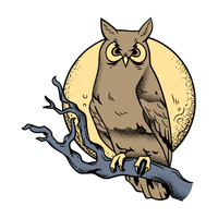 Halmahera | Owls with Names and Types