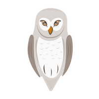 Hawk | Owls with Names and Types