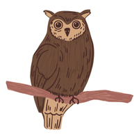 Indian Scops | Owls with Names and Types