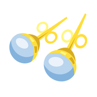 Jacket | Earrings with Names and Types