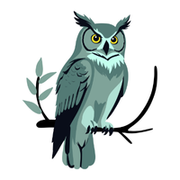Jungle | Owls with Names and Types
