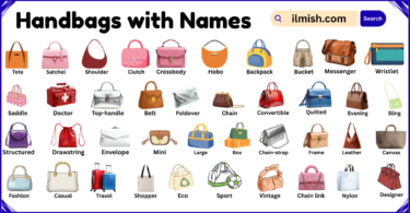 List of Handbags with Names and Types in English with Pictures