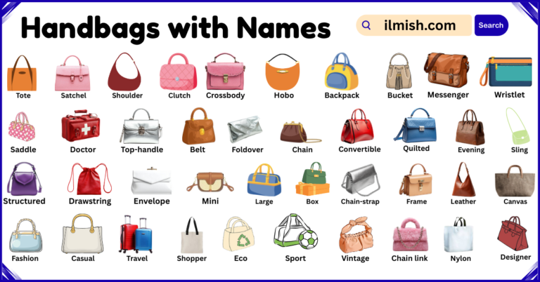 List of Handbags with Names and Types in English with Pictures