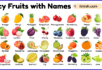 List of Juicy Fruits with Names and Types in English with Pictures